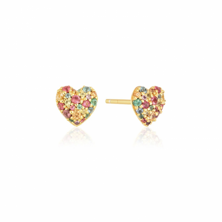 CARO Øreringer i gruppen Øredobber hos SCANDINAVIAN JEWELRY DESIGN (SJ-E72350-XCZ-YG)