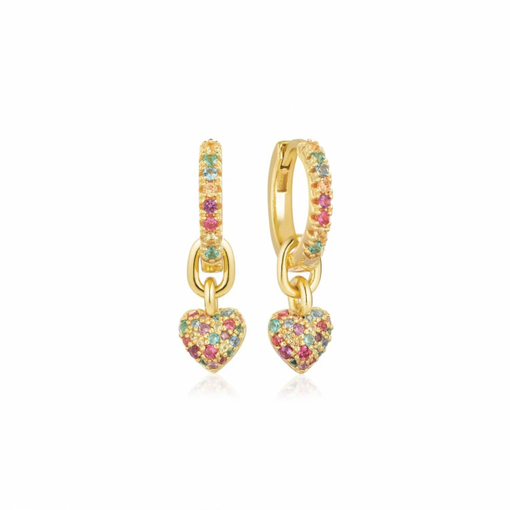 CARO CREOLO Øreringer i gruppen Øredobber hos SCANDINAVIAN JEWELRY DESIGN (SJ-E72352-XCZ-YG)