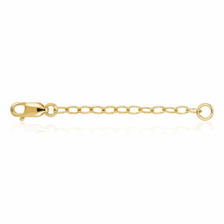 Förlängningskedja (Gull) i gruppen Tilbehør hos SCANDINAVIAN JEWELRY DESIGN (SJ-EXTENS-YG)