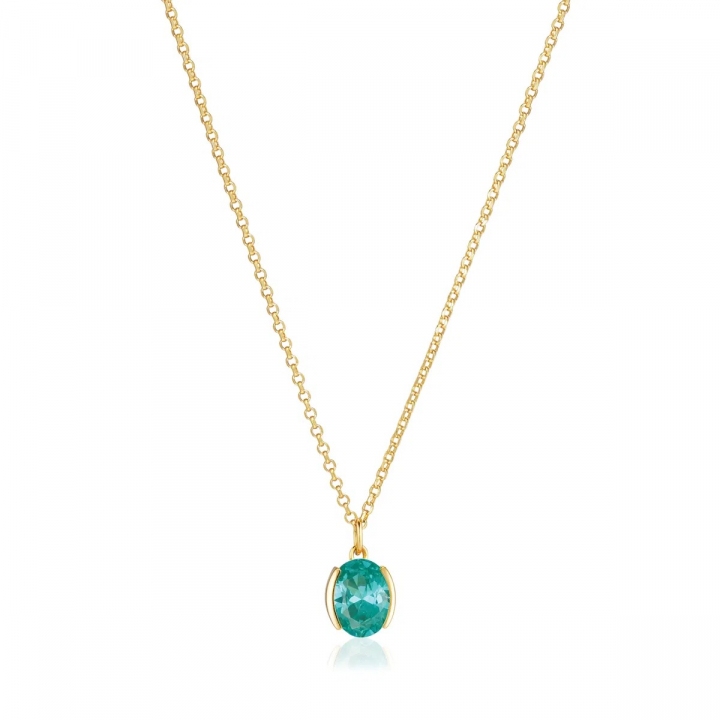 ELLISSE CAREZZA Necklace Gold i gruppen Halskjede / Gullkjede hos SCANDINAVIAN JEWELRY DESIGN (SJ-N2353-TQCZ-YG)