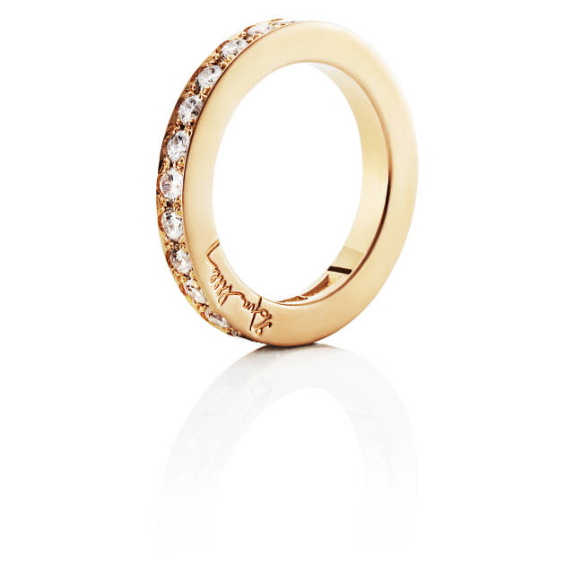 Big Stars & Signature Ring Gull