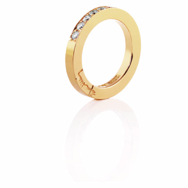 7 Stars & Signature Ring Gull