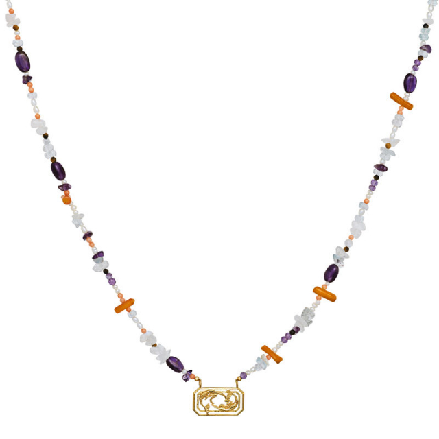 Zodiac Water Pisces Halskjede (Gull)