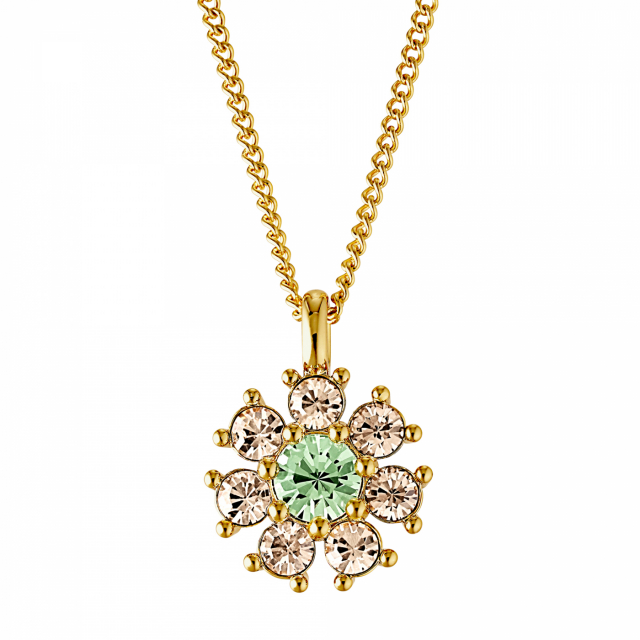 DELISE Gull L.GREEN/GOLDEN