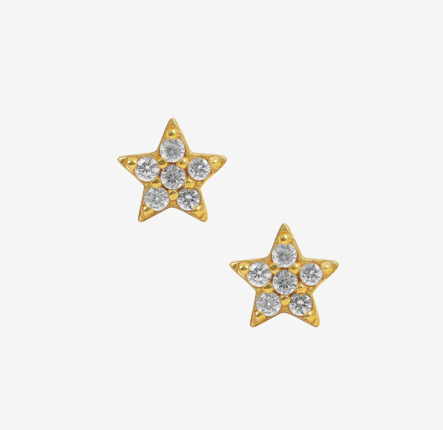 White Star Earstud Gull