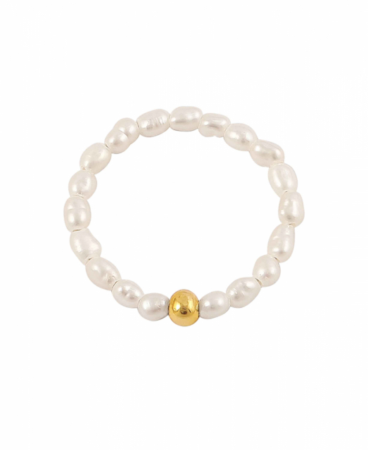 Pearl Ring Gull