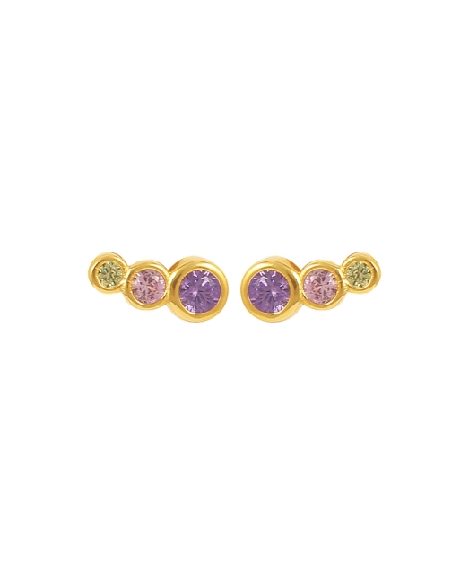 Lucian Pink Multi Earrings Gull