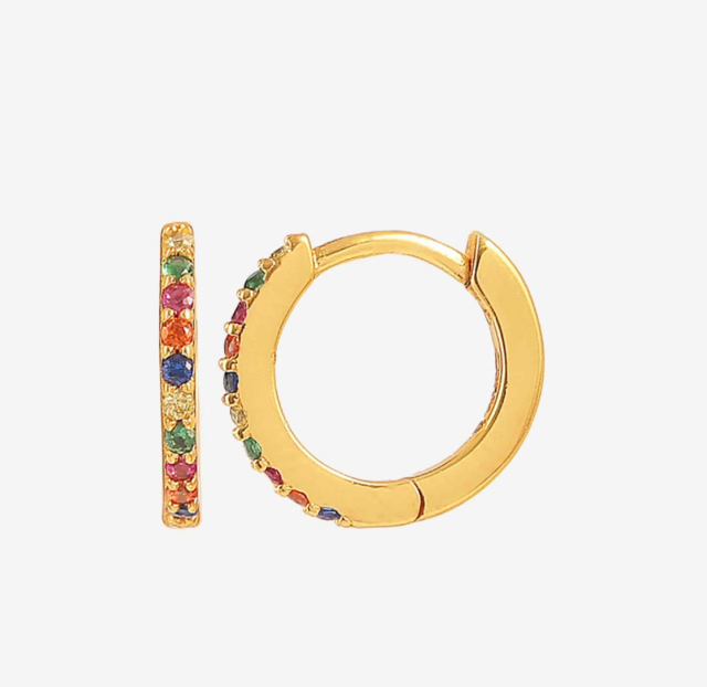 Esta Multi Earrings Gull