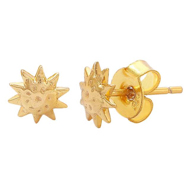 Apollo studs