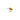 Sagene Trail Stud Goldplated Silver