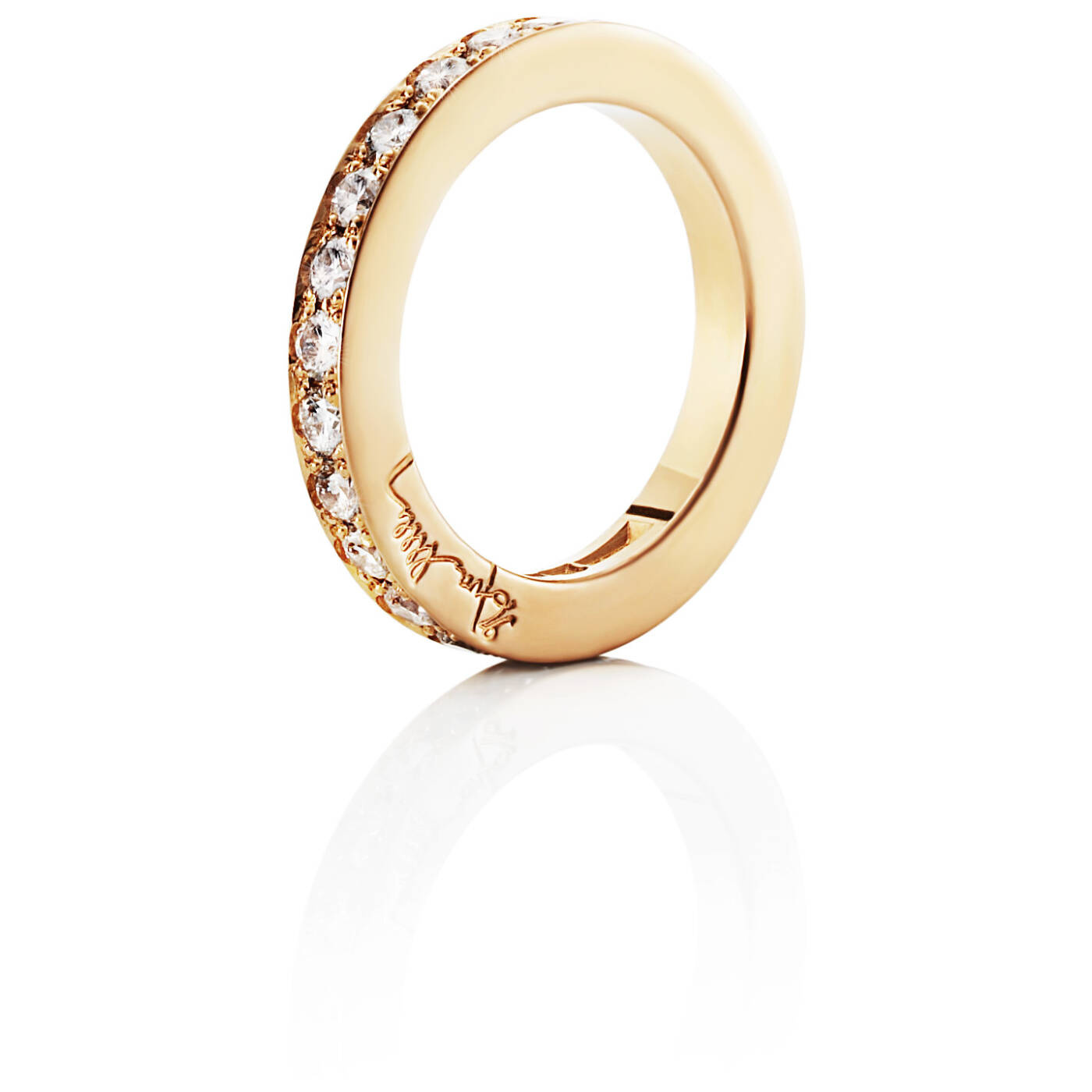 Big Stars & Signature Ring Gull