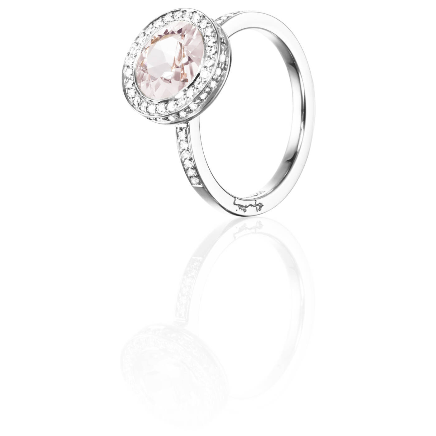 Halo - Morganite Ring Hvitt gull