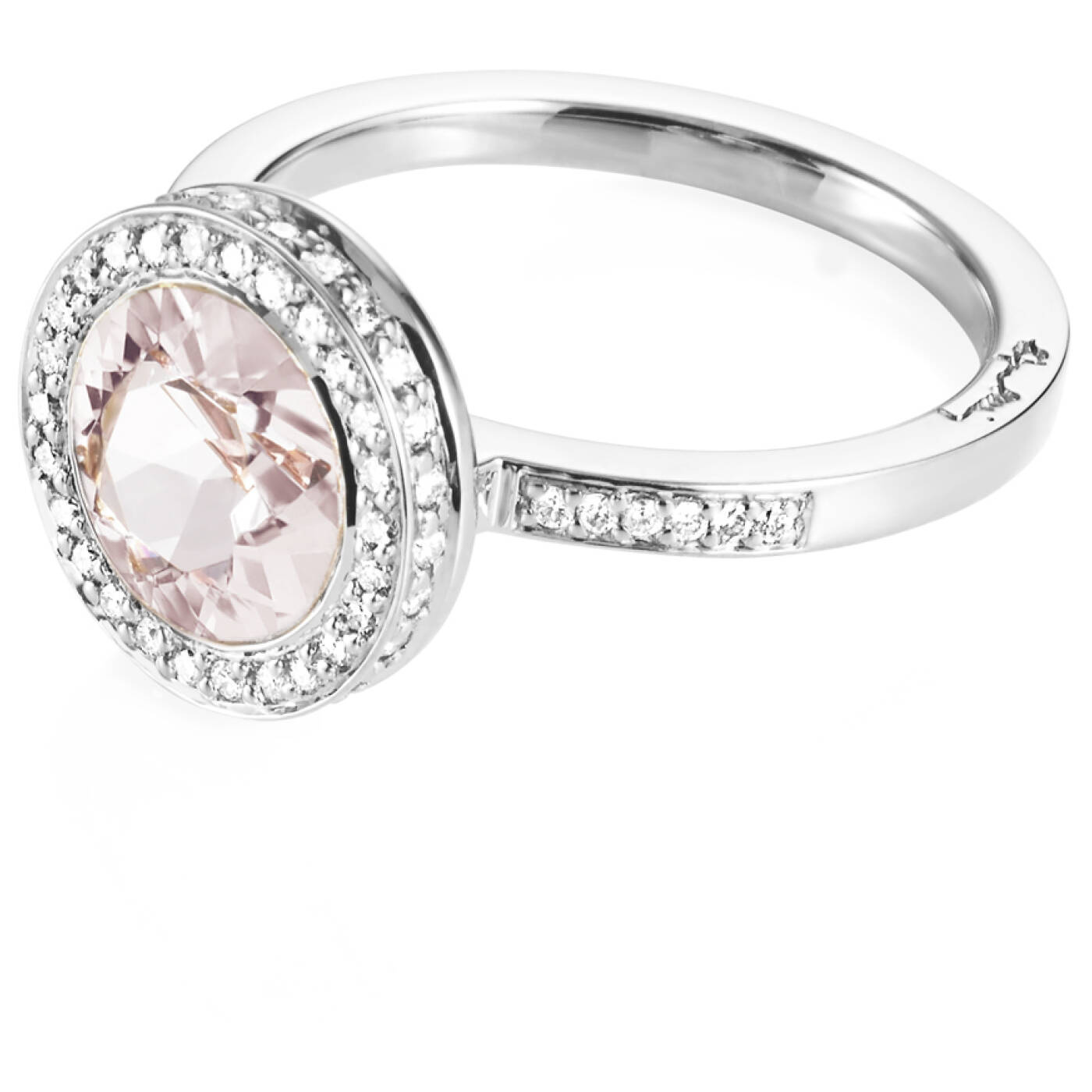 Halo - Morganite Ring Hvitt gull