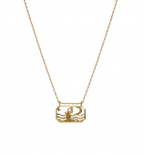 Zodiac vattumannen Halskjede (Gull) 45 cm