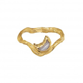 Cordelia Ring (Gull)