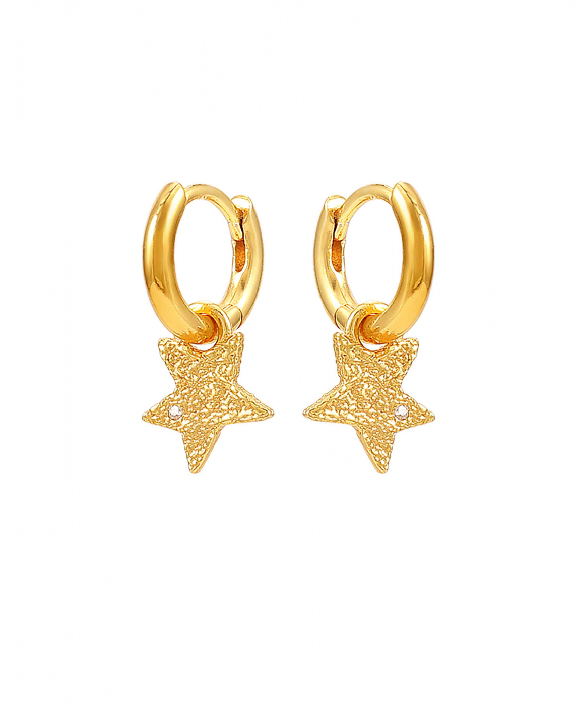 Astra Hoops Earrings Gold